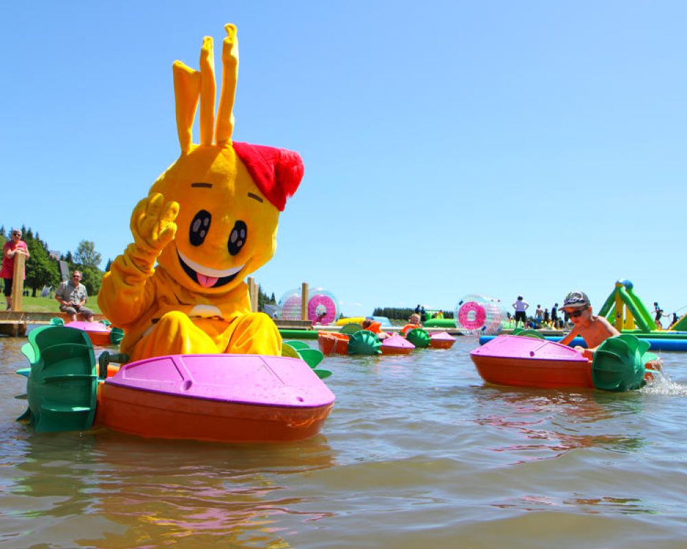 1addeda55e70000004644345_BIG