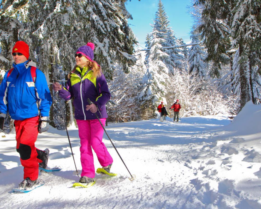 1addeda55e70000004897258_BIG