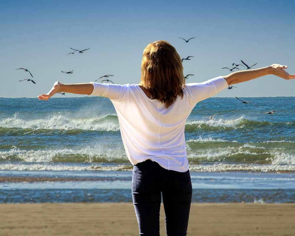 holiday-2120259_960_720