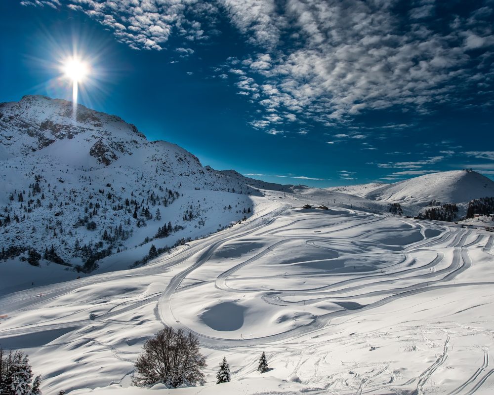 Ski cross-country skiing